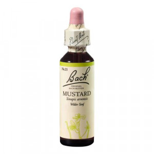 Produktbild von BACHBL&Uuml;TEN Mustard Tropfen