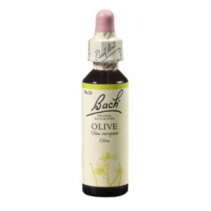 Produktbild von BACHBL&Uuml;TEN Olive Tropfen