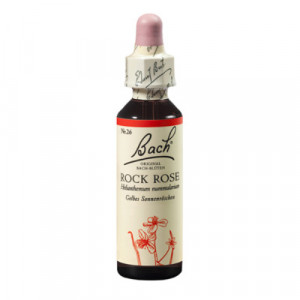 Produktbild von BACHBL&Uuml;TEN Rock Rose Tropfen